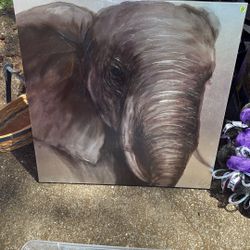 Large Elephant Canvas 