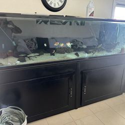 240 Gallon Fish tank 