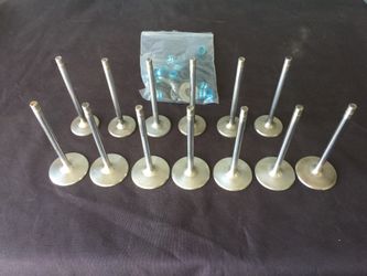 Bbc manly severe duty