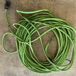 Cable