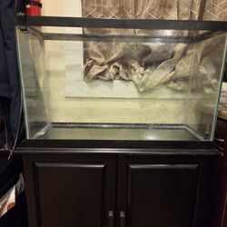 Complete Freshwater Aquarium Set Up 