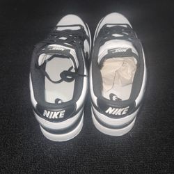 Brand New Nike Panda Dunks