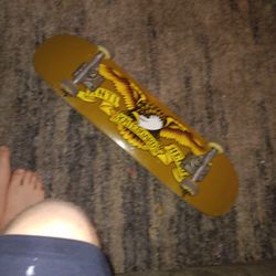 Skate Deck
