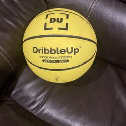 DU Dribble Up Indoor Outdoor Official Size Basketball NEW.