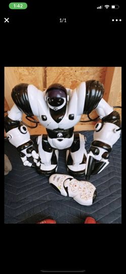 Big rebort with controller