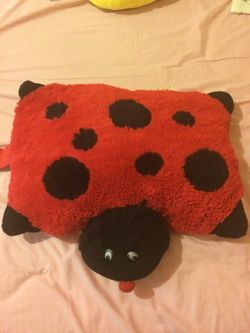 Pillow pet