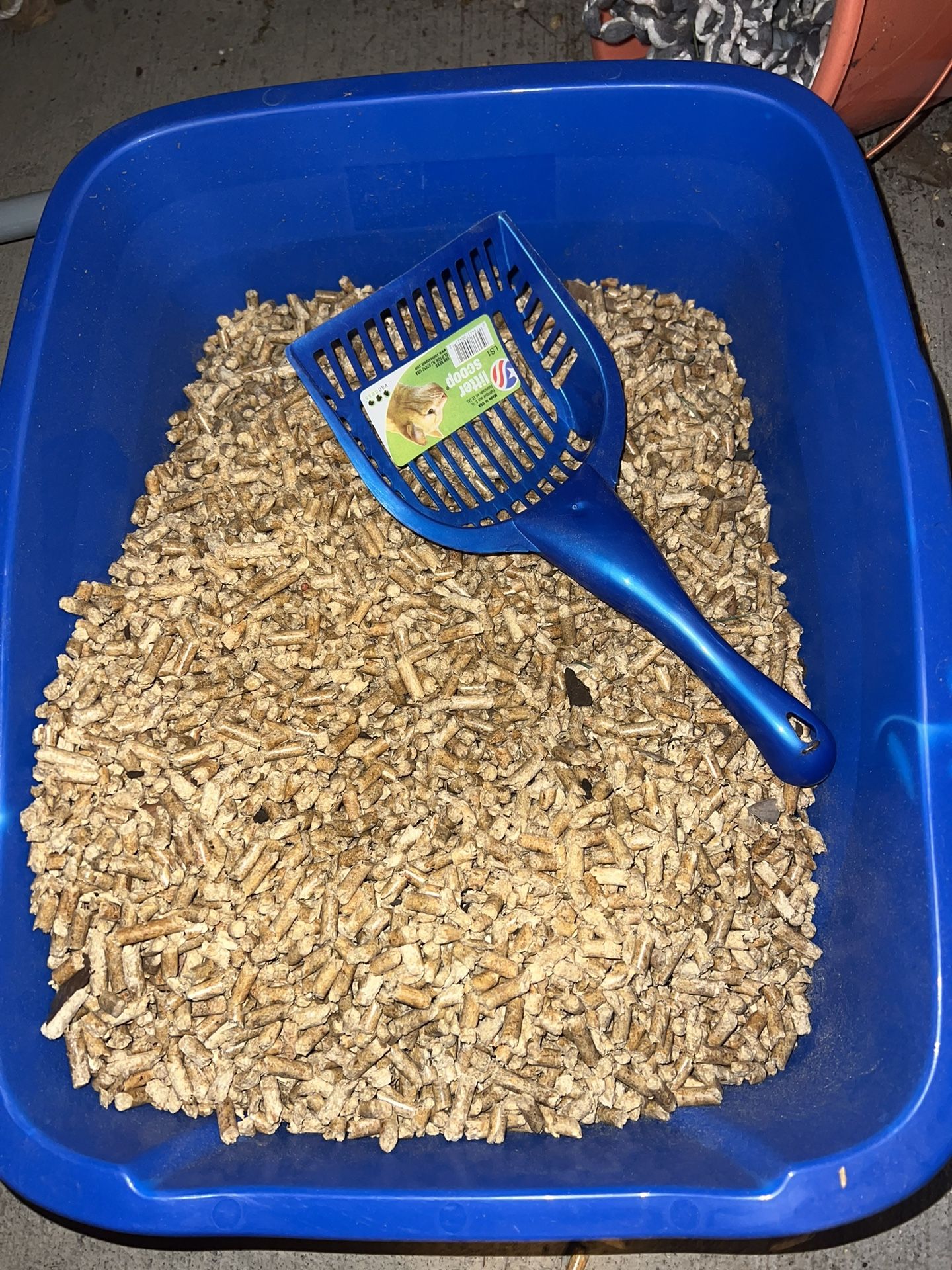 cat litter kit