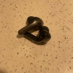 Ear Buds 