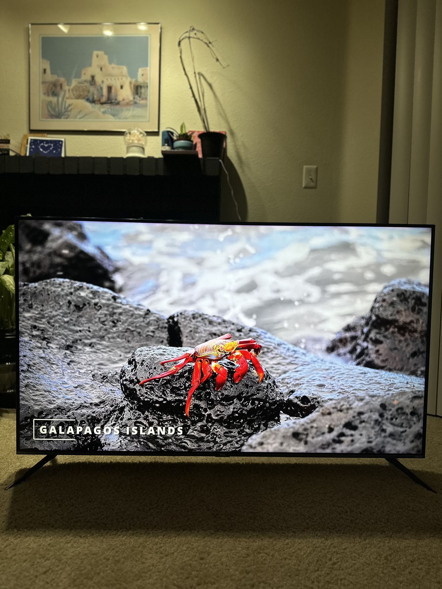 55” 4K QLED Smart TV