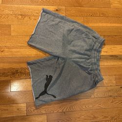 Puma Gray Shorts Lounge Wear 