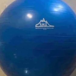Exercise Ball / Yoga Ball – Black Mountain Products