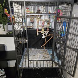 Bird Cage Worh Wheels