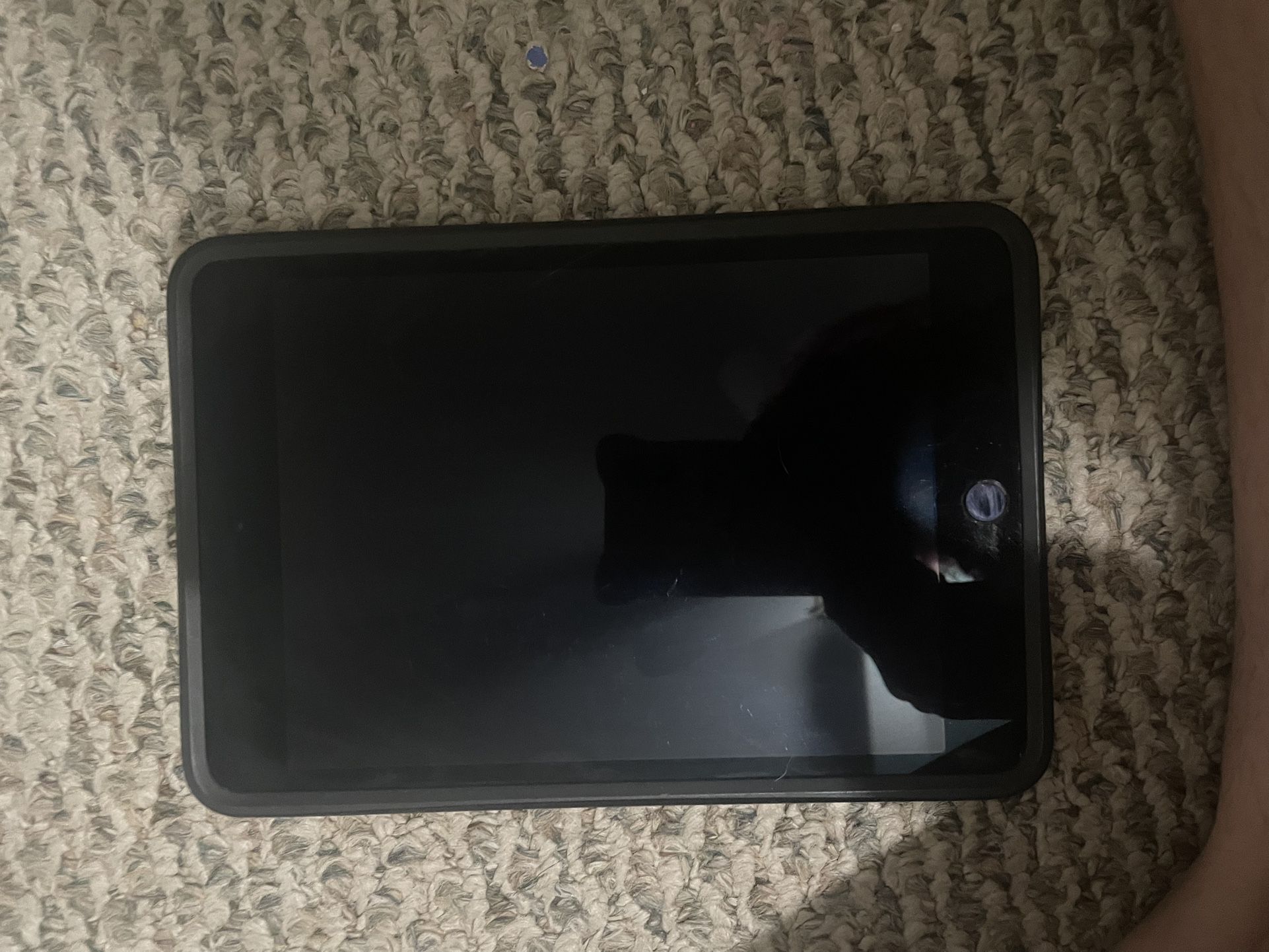 iPad Mini 4 Grey/black