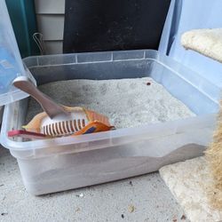 Cat litter box + Lid
