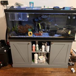 75 Gallon Aquarium W/ Filter Co2 Ph Monitor 