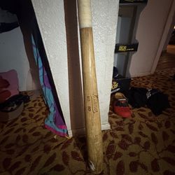 Bat 