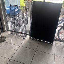 2 Dogs Caged One Large And One. Medium Two For Only $125 Today Neat Conditions 