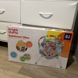 Vibrating Bouncer
