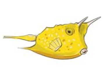 Cowfish cartoon