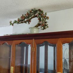 Ivory Chinese Bonsai Tree