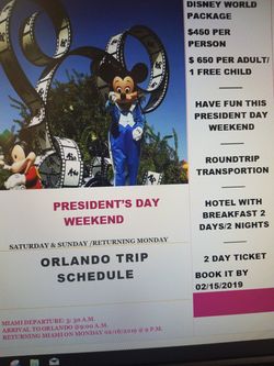 DISNEY PARKS TRIP