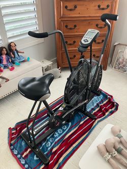 Schwinn Airdyne AD4 $225.