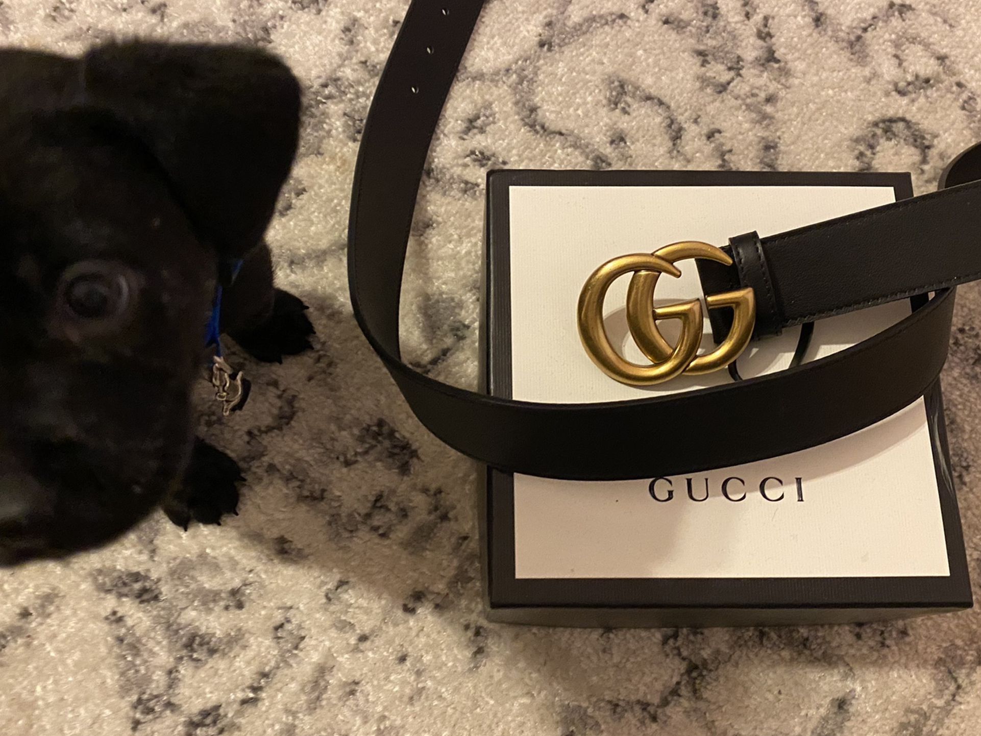 Gucci Belt Unisex