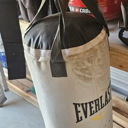 Everlast Boxing  Bag 🥊 