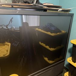 Sony 61” Rear Projection TV