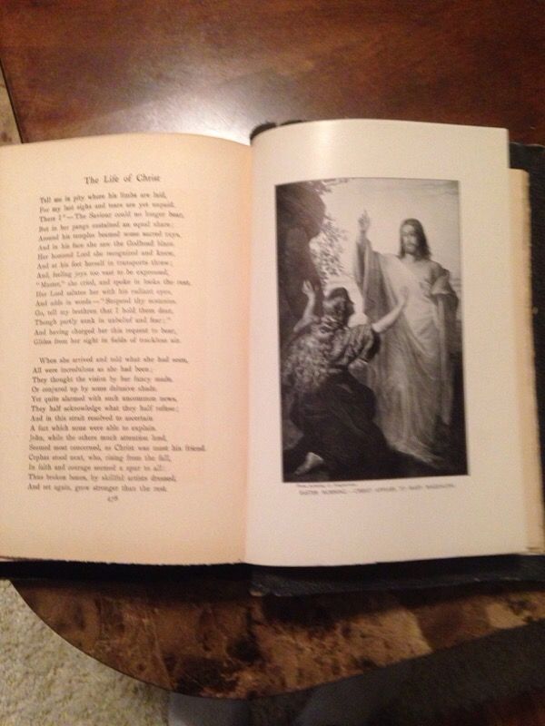 Book The Life of Christ 1900