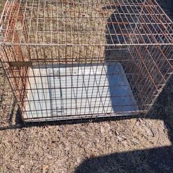 Large Dog Cage