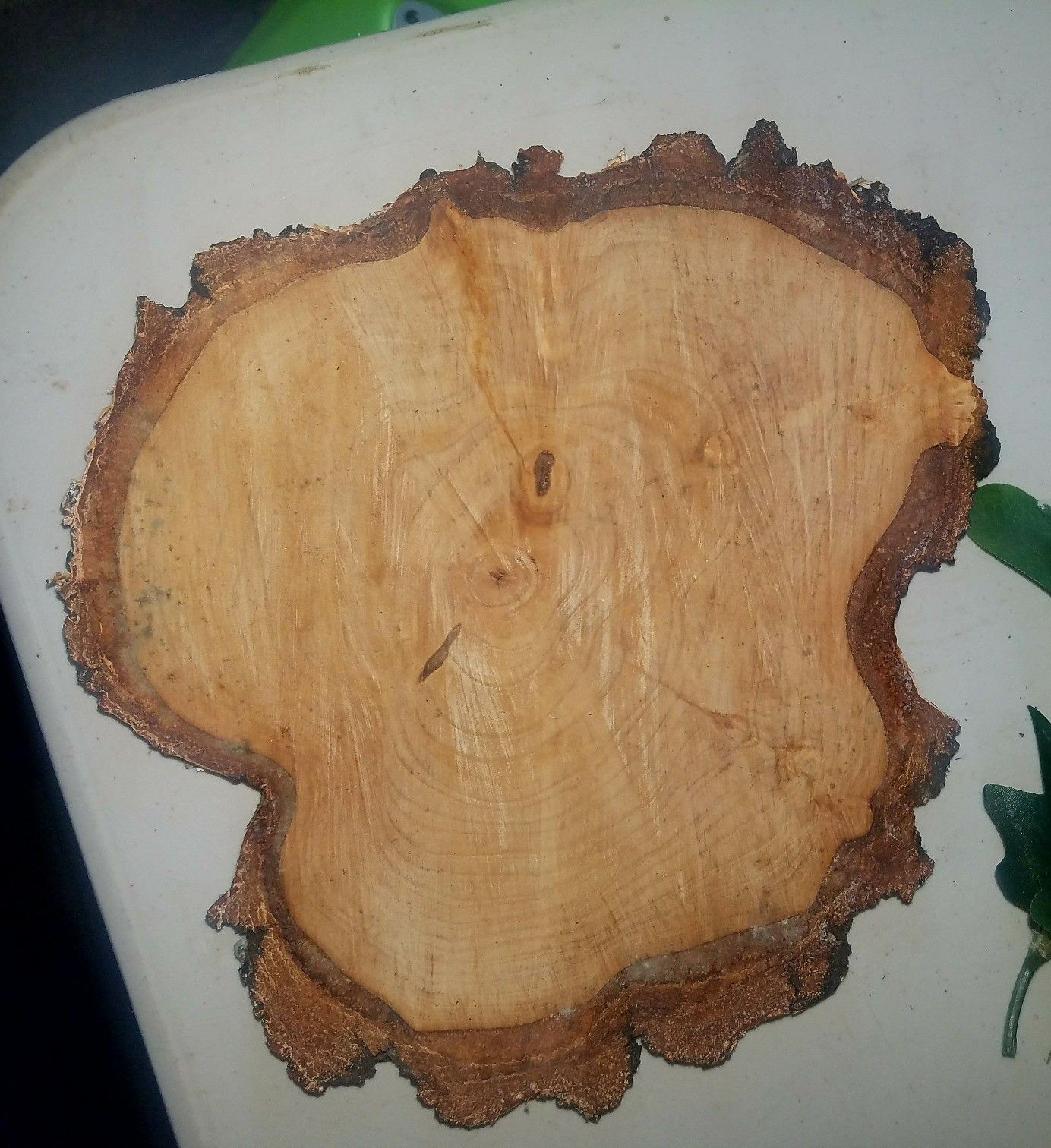 10 inch wood rounds