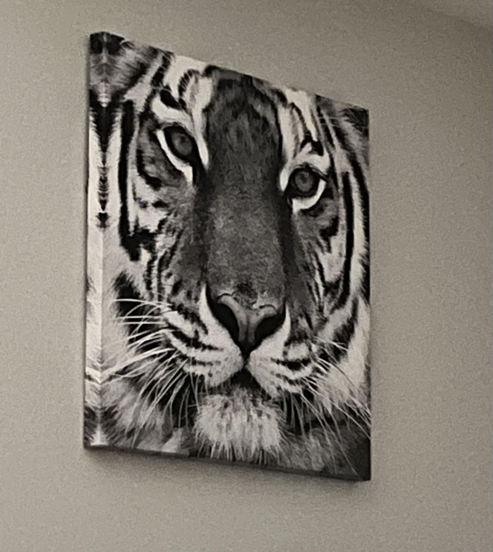 Tiger Canvas/ Realism Decor 