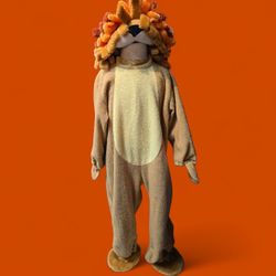 Lion Halloween Costume, Size 3T