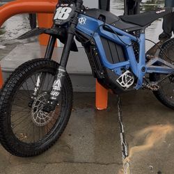 Talaria sting r 2025