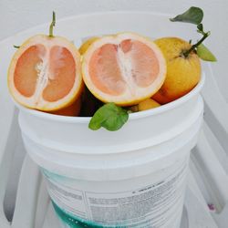 $12 Rositas Y. Dulces 