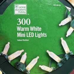 Led Light Christmas 