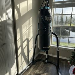 Everlast Punching Bag With stand