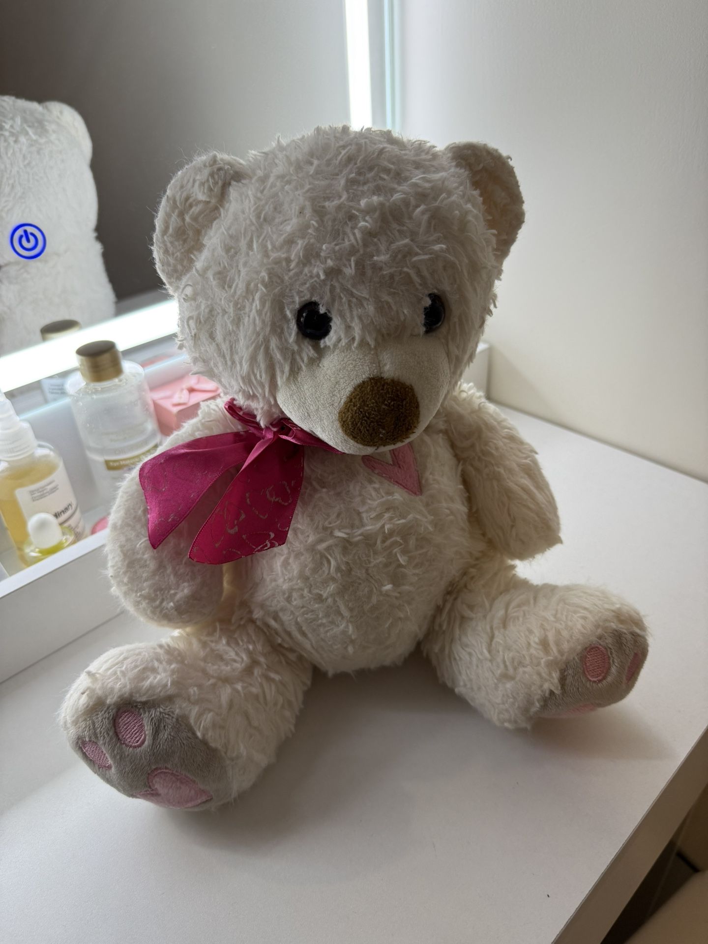 White Teddy Bear