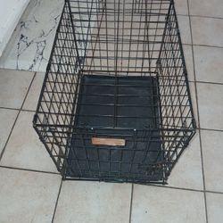 Dog Training Crate
