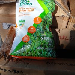 Sta Green Burmuda Grass Seeds