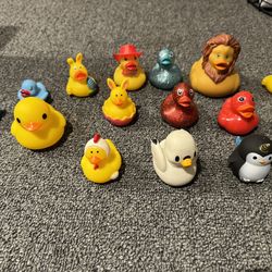 Toy ducks 14 various sizes
