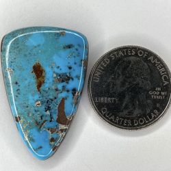 Seahorse Turquoise Cabochon (Natural)