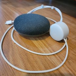 Google Home Mini