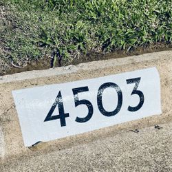 Curbside Painting