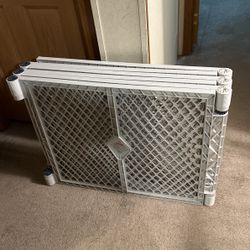 Puppy Play Area