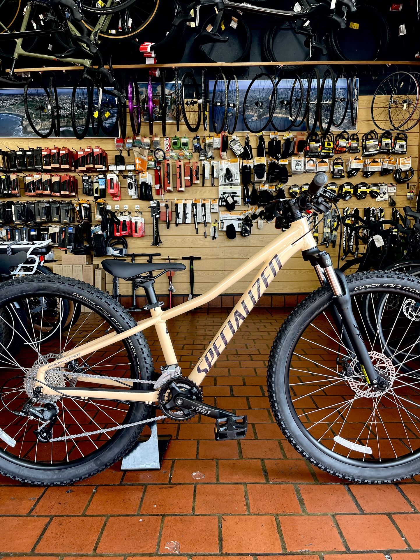 Specialized Rockhopper Mountain Bike - Size XS Papaya color