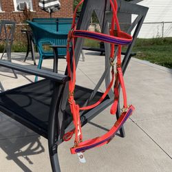 Biothane Halter Bridle Trail Combo
