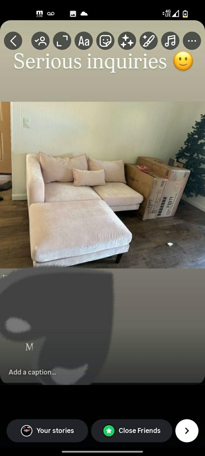 Brand New Blush Couches