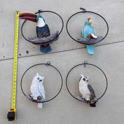 Garden Sculptures and Statues Parrot Owl Toucan $30 EACH